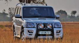 Motor Insurance